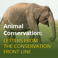 Animal Conservation - Wiley Online Library